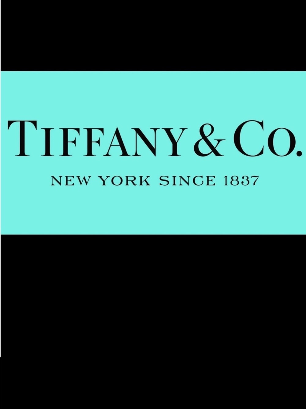 TIFFANY & CO ROCK CUT MUG - Picture 2 of 12
